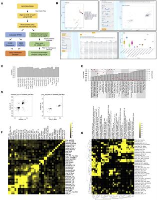 Common CHD8 Genomic Targets Contrast With Model-Specific Transcriptional Impacts of CHD8 Haploinsufficiency